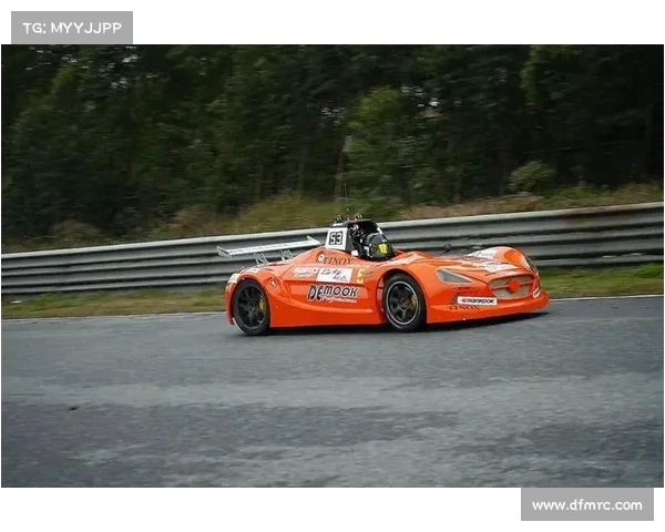 瑞典选手在世界定向越野锦标赛中勇夺长距离赛冠军 瑞典选手在世界定向越野锦标赛中勇夺长距离赛冠军